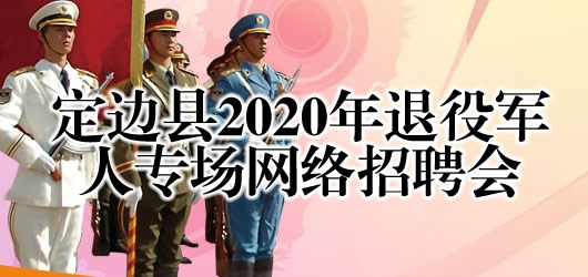 定边县2020年退役军人大型网络专题招聘会